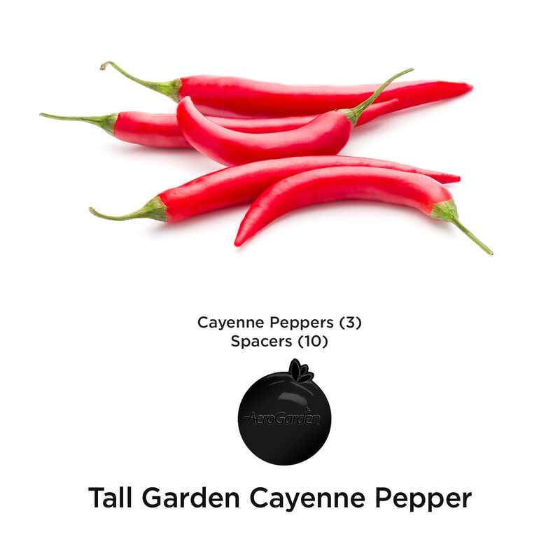 Cayenne Pepper Seed Pod Kit image number null
